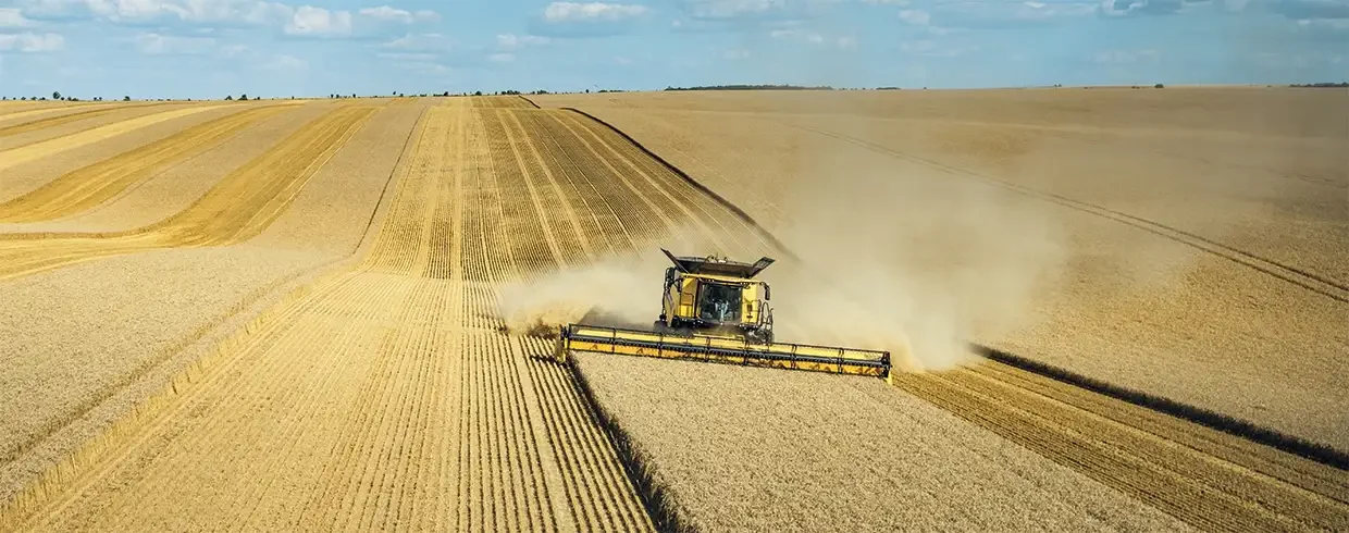 Colheitadeira New Holland trabalhando em passadas paralelas no campo