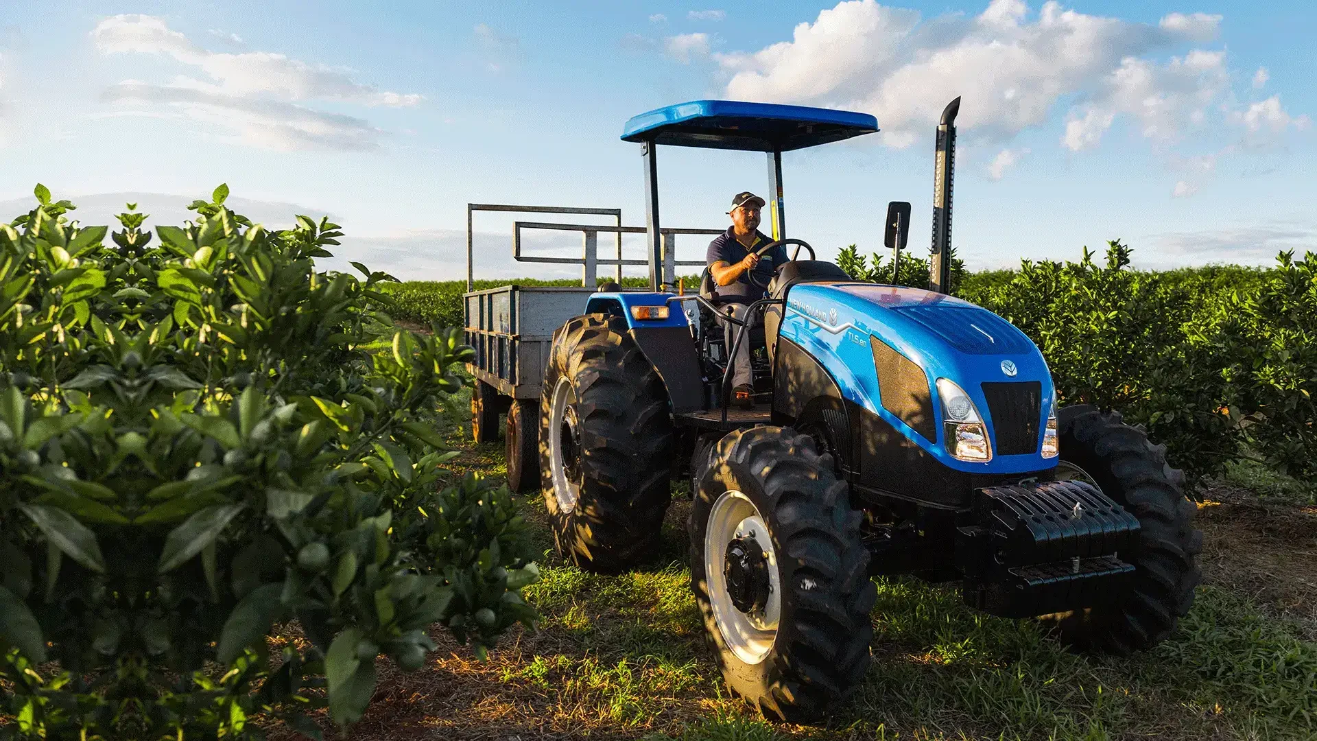 TL5 New Holland no campo