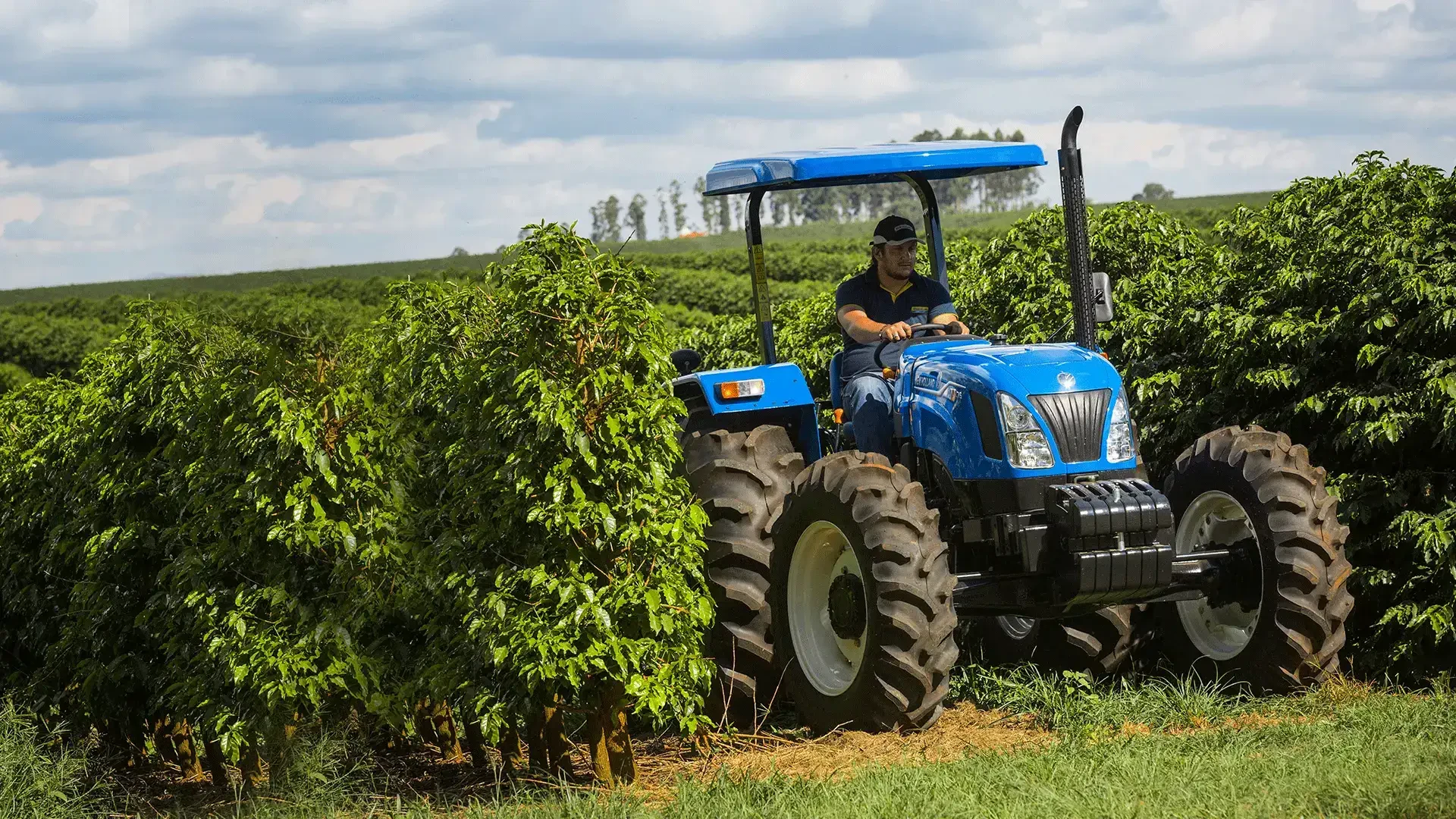 TT e TTF New Holland no campo