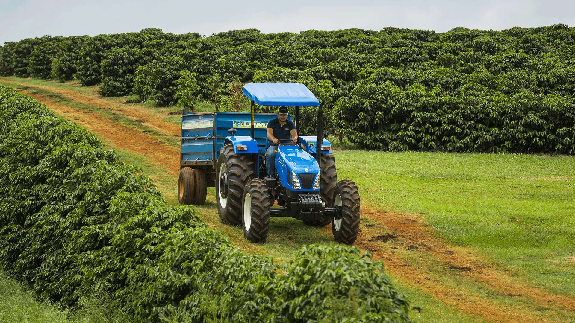Fotografia da linha TT e TTF em campo; configuração ilustrativa para TT.65