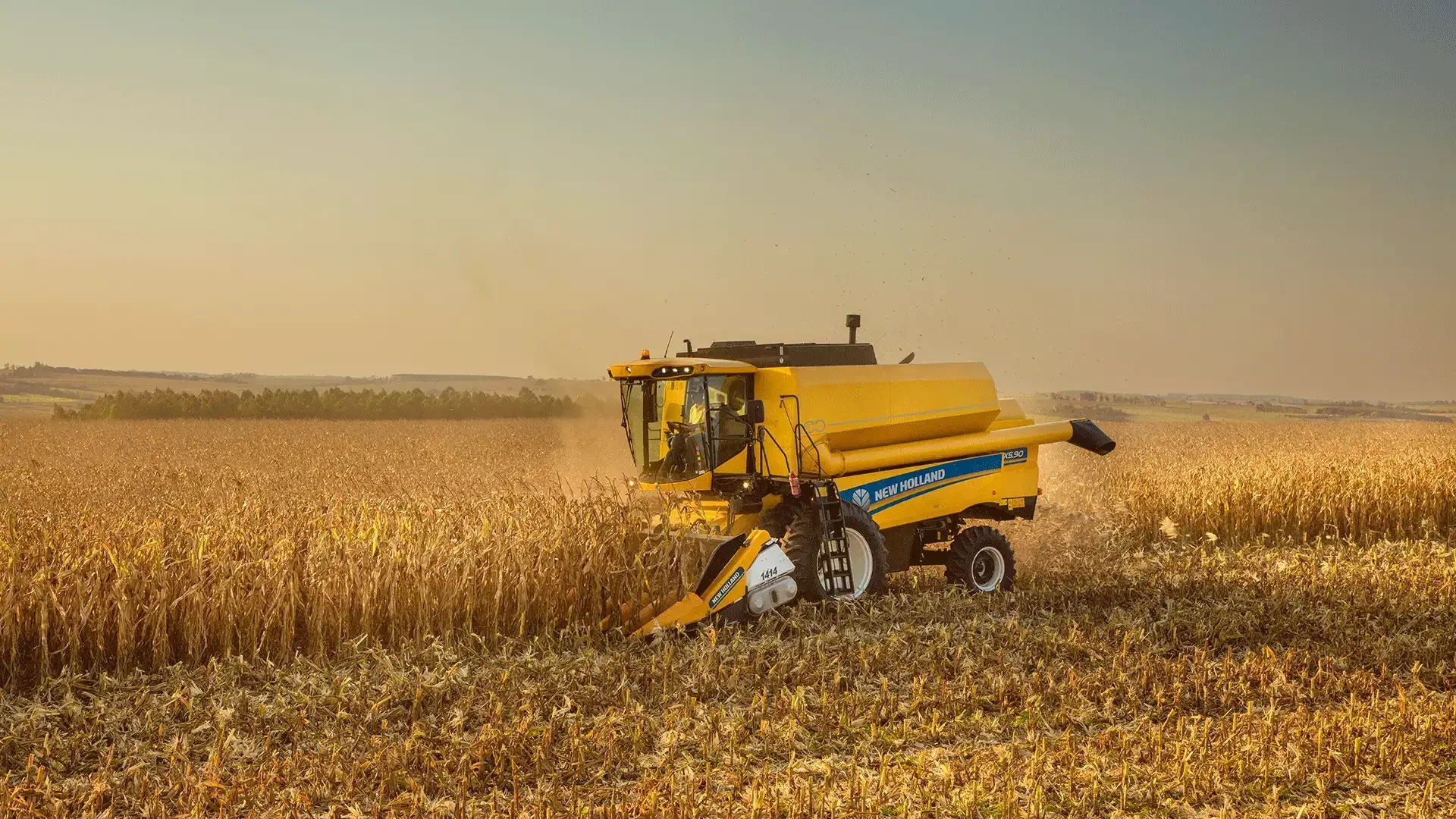 New Holland TX
